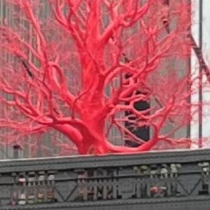 Meet your Posher, Marco